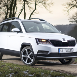 download SKODA Roomster workshop manual